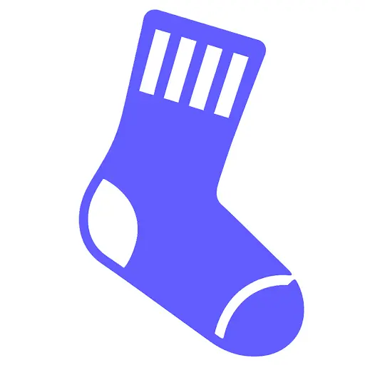 SocksWise logo